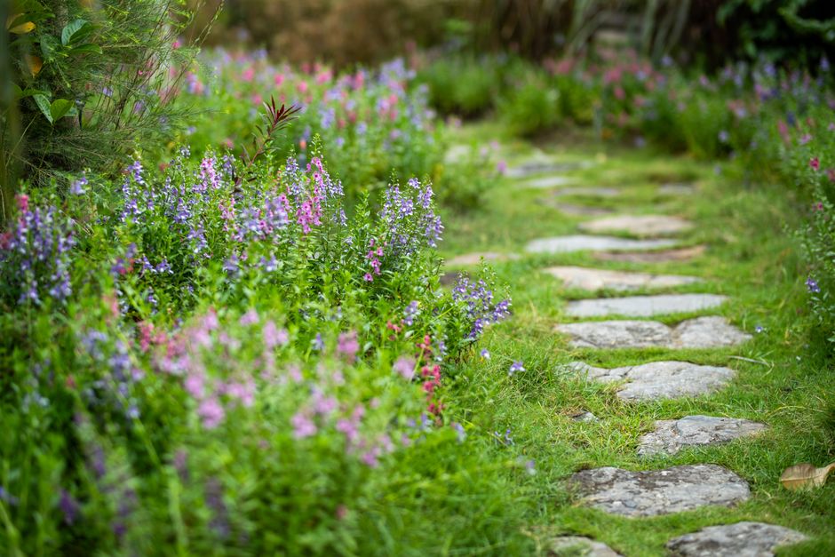 Angelegter Gartenweg aus Pflastersteinen