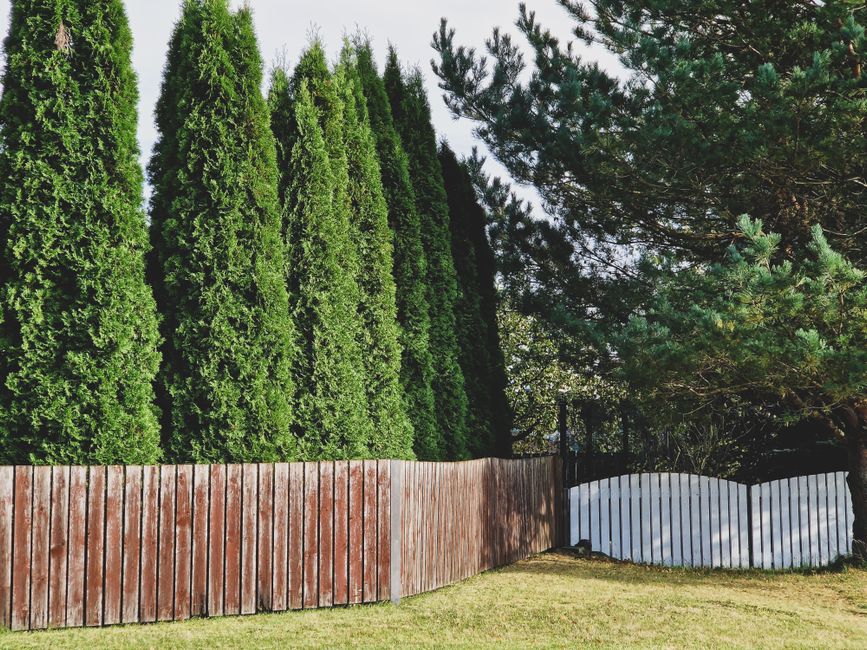 Hecke und Holzzaun als Sichtschutz