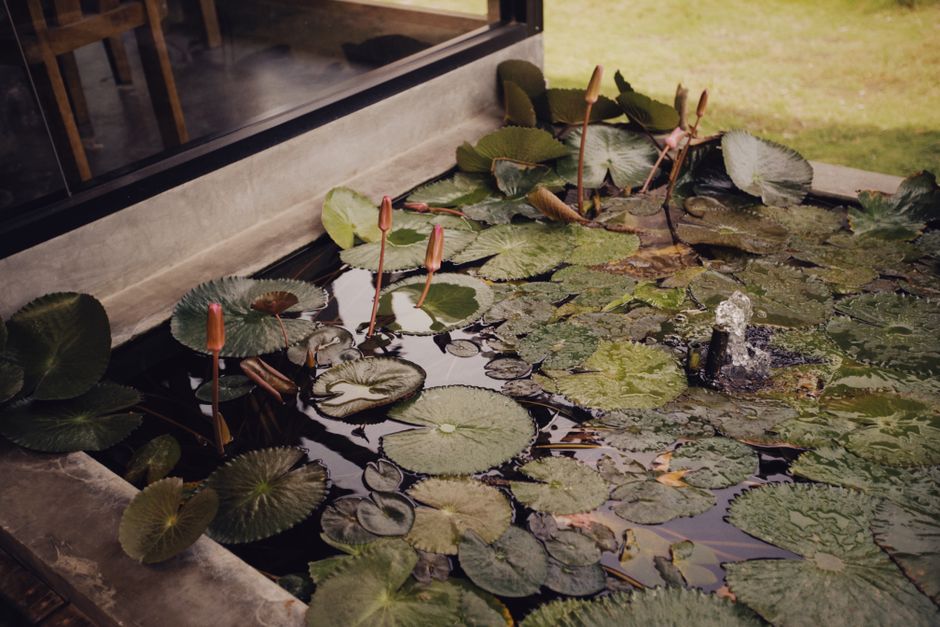 Gartenteich mit Wasserspiel